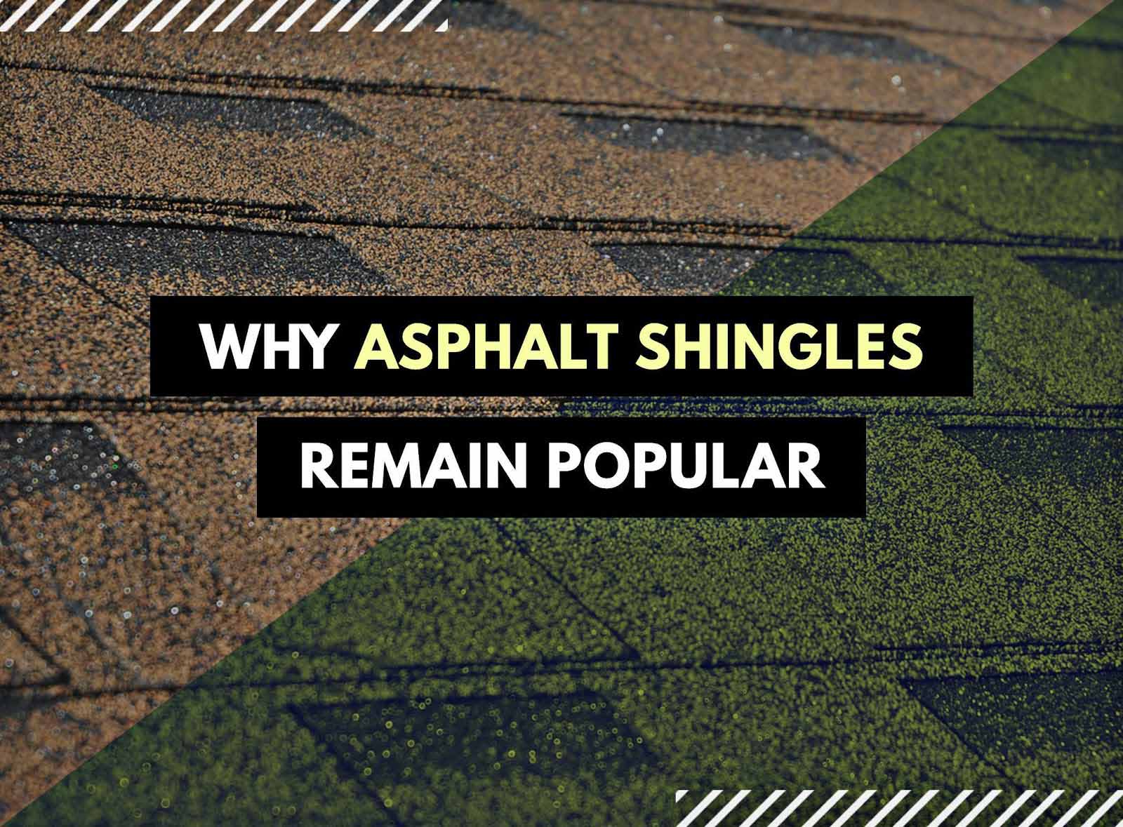 Why Asphalt Shingles Remain Popular