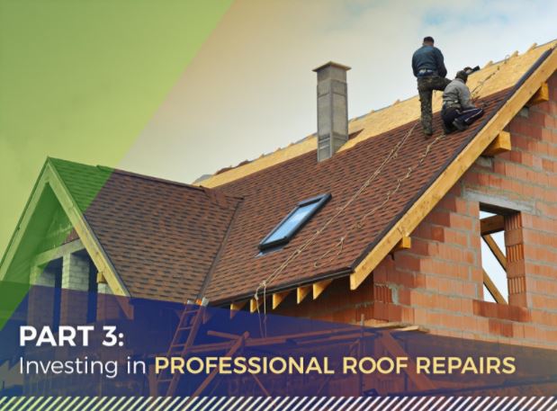 Investing in Professional Roof Repairs