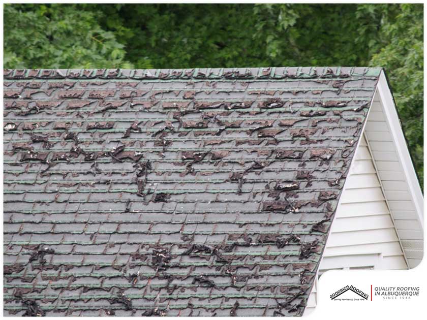 Common Reasons Why Roofs Fail